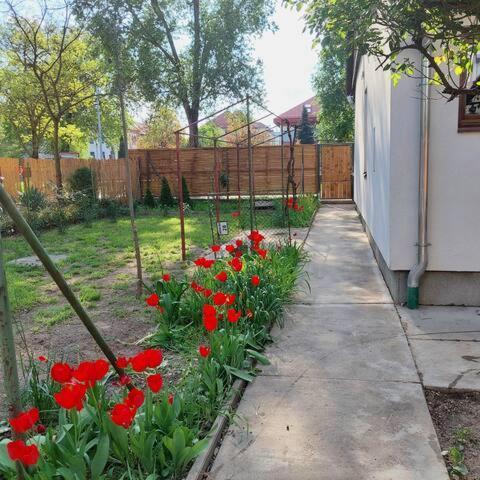 Ujszeged Apartman Εξωτερικό φωτογραφία